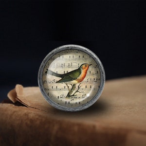May include: A round, silver-toned knob with a glass insert featuring a vintage illustration of a robin perched on a branch with musical notes in the background.