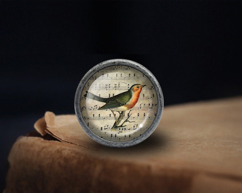 May include: A round, silver-toned knob with a glass insert featuring a vintage illustration of a robin perched on a branch with musical notes in the background.