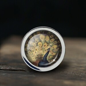 May include: A silver knob with a round, clear glass insert featuring a colorful peacock with its tail feathers spread out.