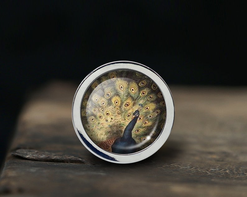 May include: A silver knob with a round, clear glass insert featuring a colorful peacock with its tail feathers spread out.