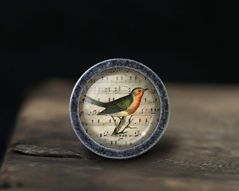 May include: A round, grey, metal knob with a glass insert featuring a vintage illustration of a robin perched on a branch with musical notes in the background.