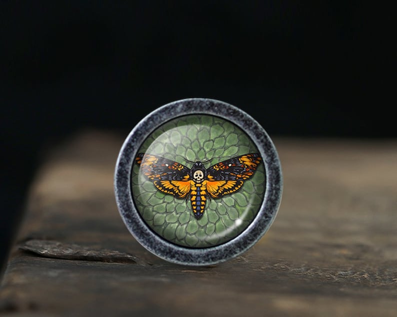 May include: A round, silver-colored, decorative knob with a glass insert featuring a detailed illustration of a black, orange, and white death's-head hawkmoth on a green background.