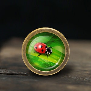 Ladybug Knobs Drawer Knobs Pulls Kitchen Cabinet Pulls Handle Furniture handle Exquisite Dresser Knob Door Knob Decor Furniture Hardware