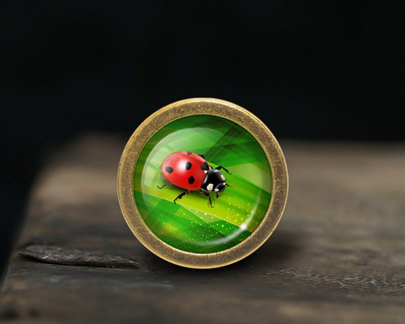 May include: A round, brass-coloured pendant with a green and white design featuring a red ladybug with black spots.