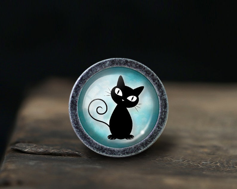 Peut inclure: Un chat noir aux yeux blancs assis sur un fond bleu et blanc. L'image est dans un cadre m&eacute;tallique argent&eacute;.