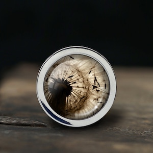 May include: A silver ring with a clear glass top featuring a preserved dandelion with seeds. The dandelion is brown and white.
