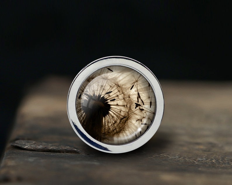 May include: A silver ring with a clear glass top featuring a preserved dandelion with seeds. The dandelion is brown and white.