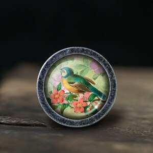 May include: A round, silver-colored knob with a glass insert featuring a vintage illustration of a blue and yellow bird perched on a branch with pink flowers.