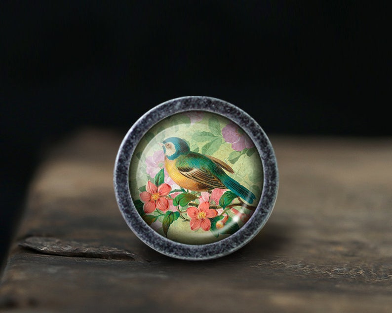 May include: A round, silver-colored knob with a glass insert featuring a vintage illustration of a blue and yellow bird perched on a branch with pink flowers.