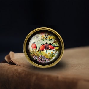 Può includere: Un bottone rotondo color ottone con una cupola di vetro che presenta un'illustrazione vintage di cinque uccelli colorati appollaiati su un ramo con fiori rosa e viola. Gli uccelli sono rossi, blu e bianchi.