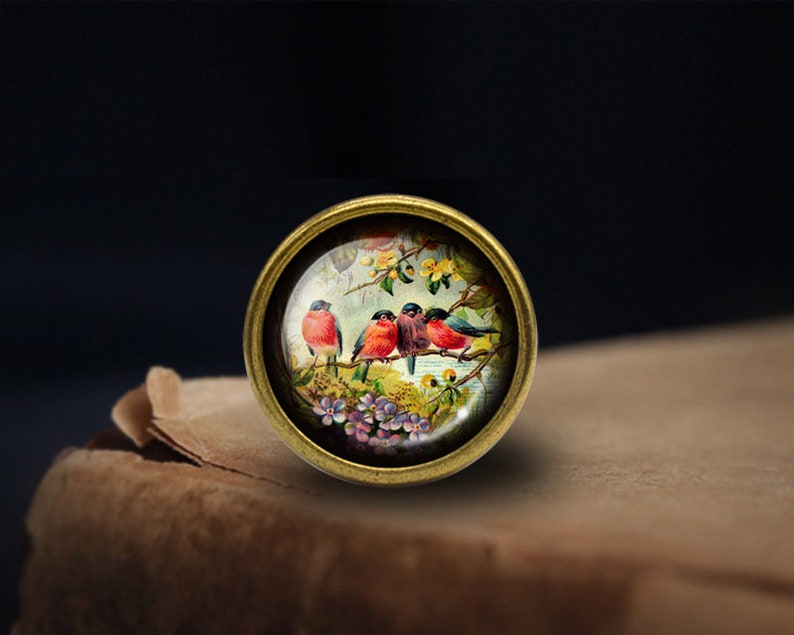 Peut inclure: Un bouton rond en laiton avec un d&ocirc;me en verre repr&eacute;sentant une illustration vintage de cinq oiseaux color&eacute;s perch&eacute;s sur une branche avec des fleurs roses et violettes. Les oiseaux sont rouges, bleus et blancs.