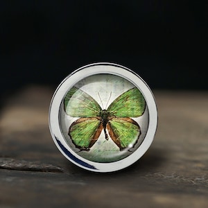 May include: A silver ring featuring a green butterfly design. The butterfly is encased in a clear glass dome.