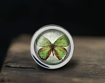 Mariposa Perillas Cajón Perillas Tira De Gabinete de Cocina Tiradores Manija De Muebles Exquisito Tocador Perillas Perilla de Puerta Decoración Muebles Ferretería