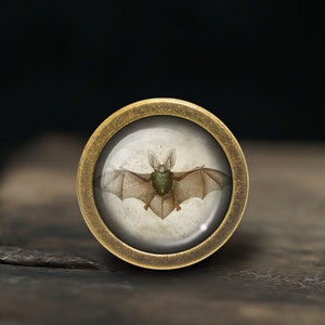 以下が含まれることがあります： 緑と茶色の模様のついたコウモリのヴィンテージイラストが描かれたガラス製のインセットが付いた真鍮製のノブです