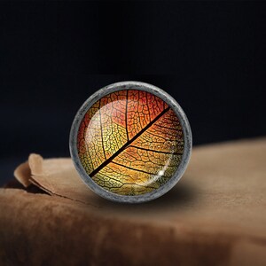 May include: A round, silver-coloured knob with a glass insert featuring a detailed image of a leaf in shades of orange, yellow, and red.