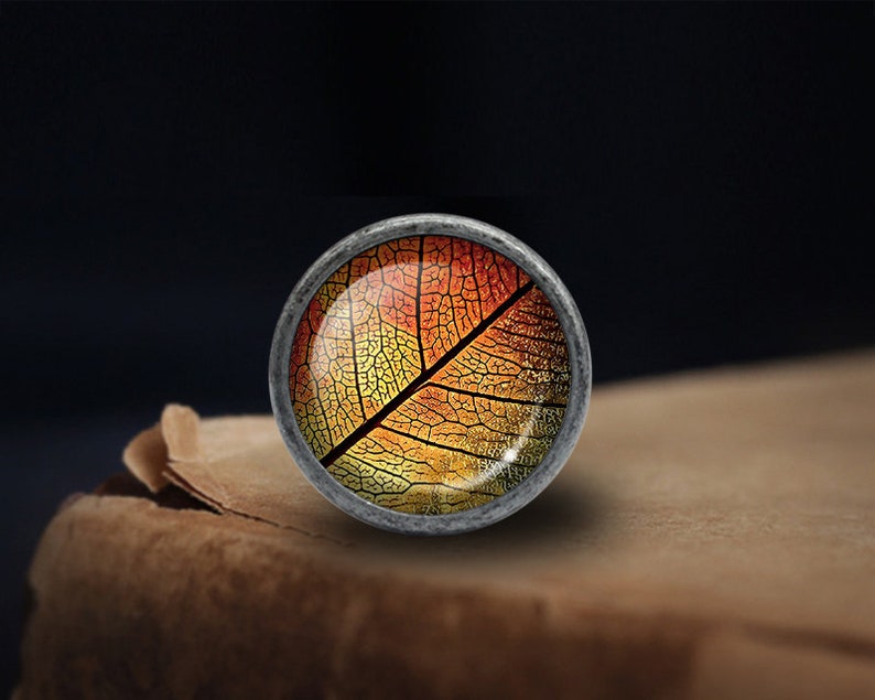 May include: A round, silver-coloured knob with a glass insert featuring a detailed image of a leaf in shades of orange, yellow, and red.