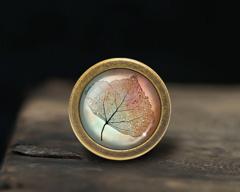 Puede incluir: Un pomo de lat&oacute;n con un inserto redondo de vidrio transparente que presenta una hoja delicada y transl&uacute;cida en tonos de rosa, naranja y azul.