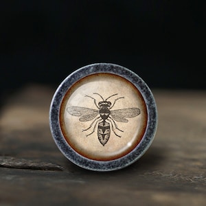 Może przedstawiać: Okrągły, srebrny gałka z vintage'owym obrazkiem osy na kremowym tle.