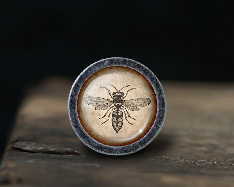 Op de afbeelding: Een ronde, zilverkleurige knop met een vintage afbeelding van een wesp op een cr&egrave;mekleurige achtergrond.