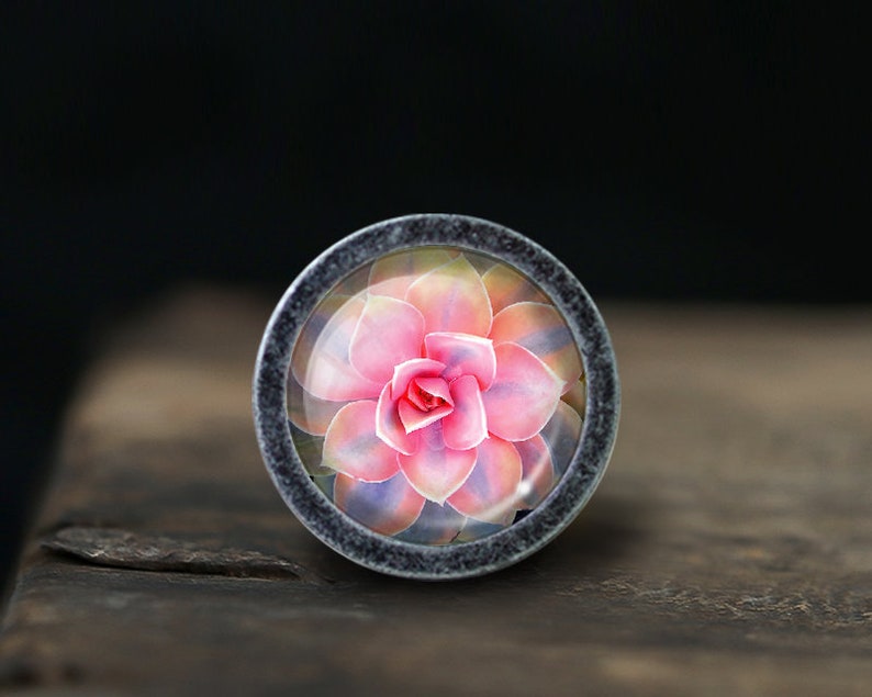 May include: A round, silver-colored knob with a glass insert featuring a pink and purple succulent flower.