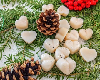 Apple Cinnamon Soy Wax Melts Gift Box, Autumn Scented