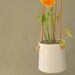 see more listings in the Ceramic Hanging Planters section