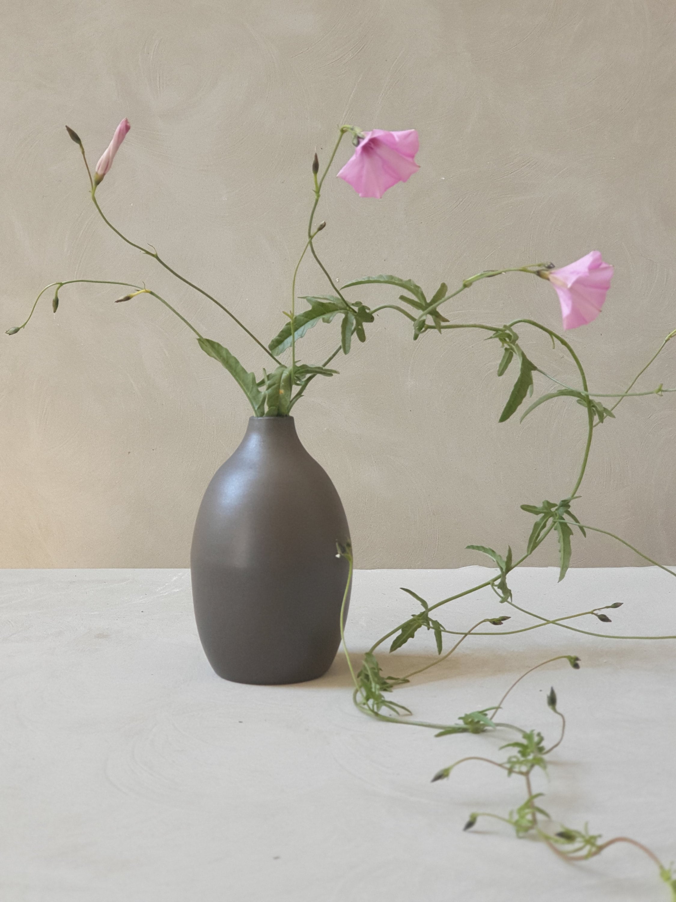 Vase de Bouteille en Céramique Noire Mate, Vase Minimaliste Bourgeon, Étroit Goulot d'étranglement