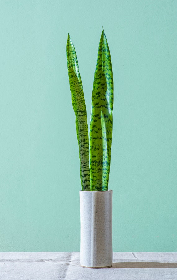 手作りの白い背の高い陶器の花瓶、細長い大きな陶器の花瓶、花用の円筒