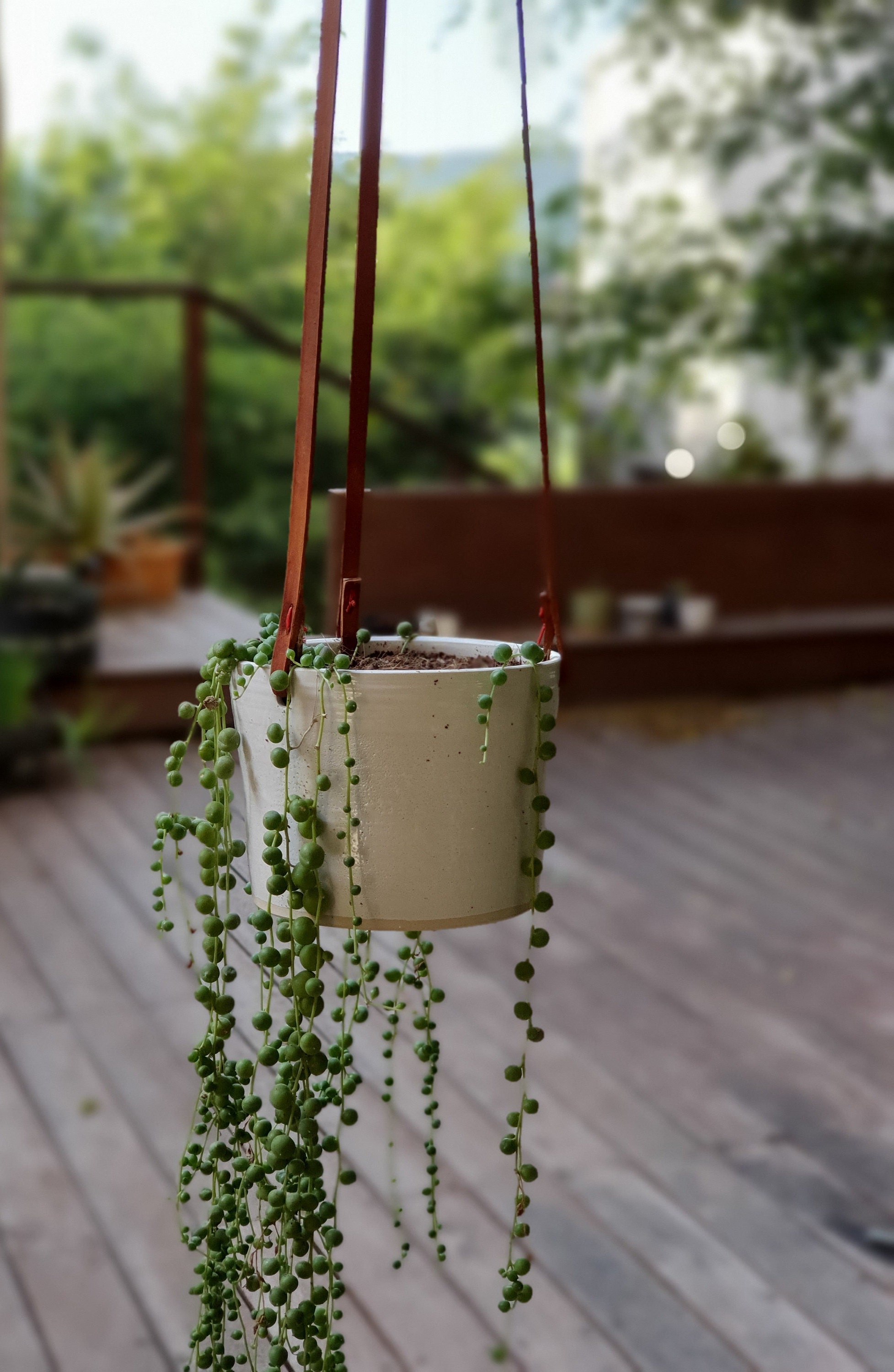 Jardinière Suspendue Blanche avec Sangles en Cuir | Poterie Minimaliste