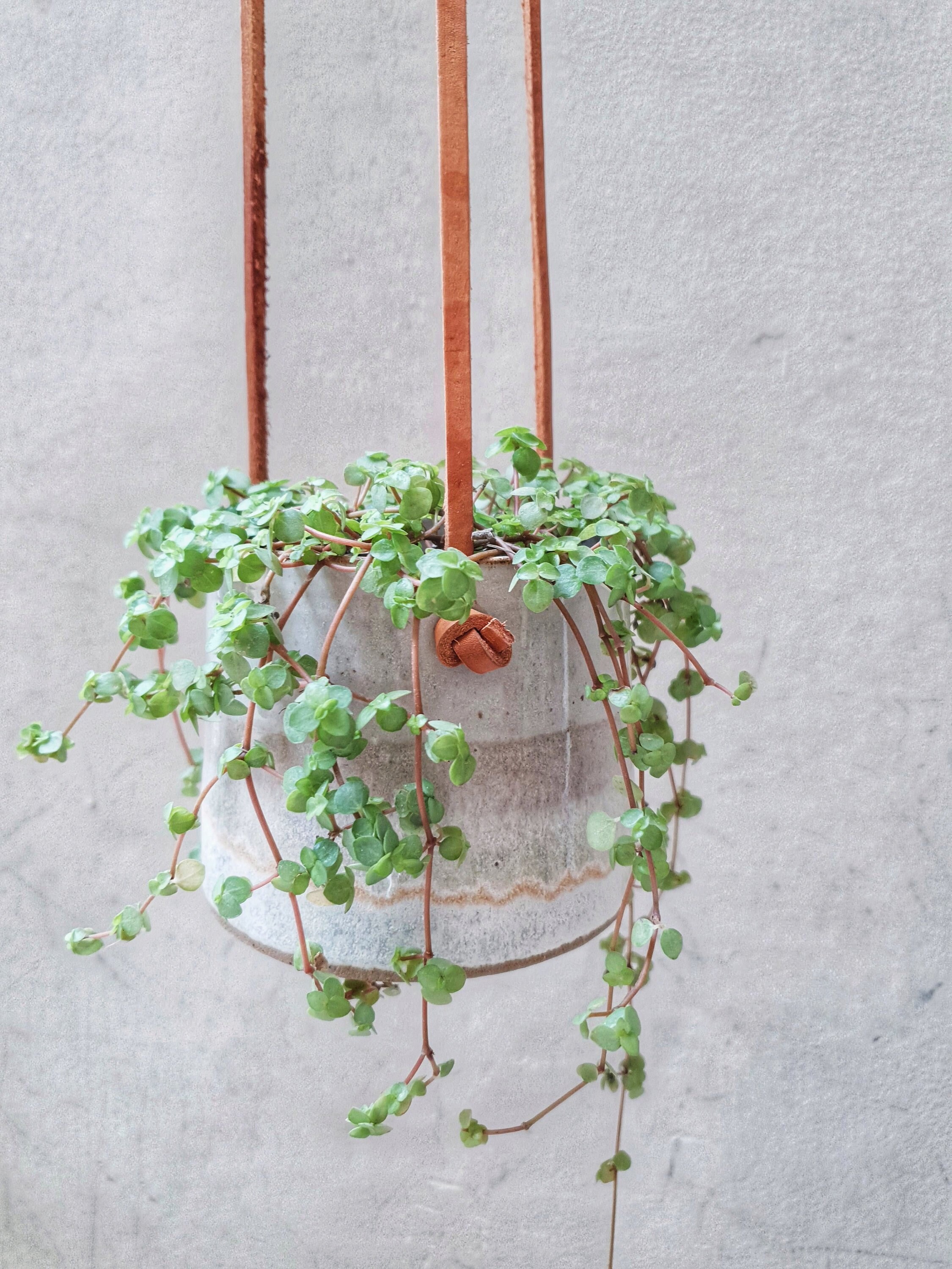 Jardinière Suspendue Blanche et Grise avec Sangles en Cuir, Jardinière de Poterie Minimaliste, Pot J