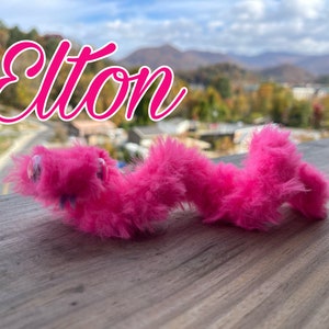 May include: A pink fuzzy worm toy with googly eyes, sitting on a wooden surface with a blurry background of trees and mountains. The word "Elton" is written in pink cursive above the toy.
