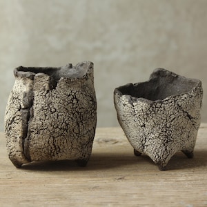 Set di due piccoli vasi per cactus e piante grasse. Regali speciali per giardinieri. Vasi unici, fatti a mano.