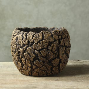 Vaso rustico per caudice, piante grasse, cactus / Vasi biologici e fatti a mano / Dimensioni: 16 cm (larghezza), 13 cm (foro), 12 cm (altezza)