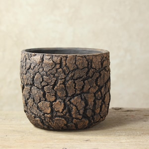 Pot en grès fait main pour plantes grasses, cactus et caudex, à la texture naturelle. Dimensions : 16 cm (largeur), 13 cm (hauteur).