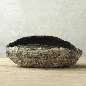 Decorative stoneware pot for succulents and cacti, contemporary, rustic style. Ideal for indoors or outdoors.