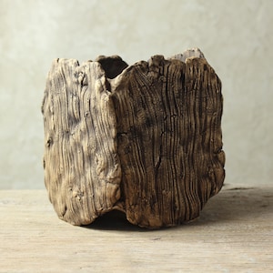 Pot for cacti, succulents, caudex, unique handmade pot / rustic and modern style / 16-17 cm (height) x 14-15 cm (width)