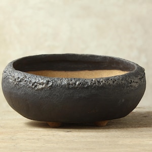 Black stoneware pot for bonsai, caudex plants, succulents, and cacti. Dimensions: 20 cm (length), 12.5–9 cm (height)