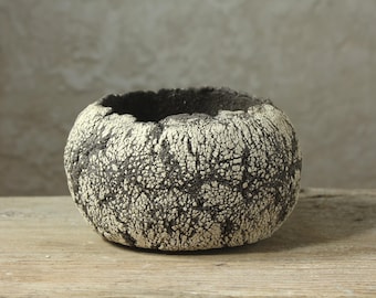 Handmade Stoneware Planter for Cacti, Succulents & Caudex – Unique Ceramic Plant Pot
