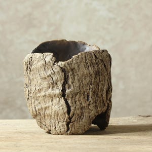 Op de afbeelding: Een cilindervormig vat met een ruwe, getextureerde buitenkant die lijkt op natuurlijke boomschors in lichtbruine en beige tinten. Het object heeft een diep, hol centrum met een donkere binnenkant en een opvallende verticale barst.
