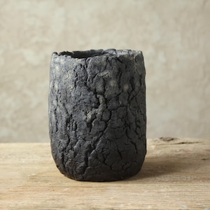 Handgefertigter Topf für Kakteen, Caudex und Sukkulenten. Größe: 10 cm (Breite) x 14 cm (Höhe)