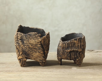 Handmade pots for cacti and succulents, set of two rustic stoneware pots with beautiful natural texture