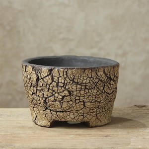 Handmade stoneware pot for cacti, succulents, bonsai, and lithops. Size: 15 cm (width) x 10 cm (height)