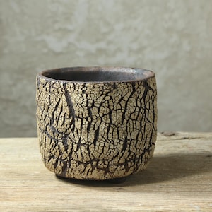 Handmade Ceramic Planter for Cactus, Succulents & Caudex – Rustic Indoor Plant Pot