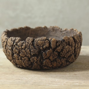 Natürlicher und rustikaler Steinguttopf für Sukkulenten, Kakteen und Caudexpflanzen. Größe: 16 cm (Breite) x 7 cm (Höhe)