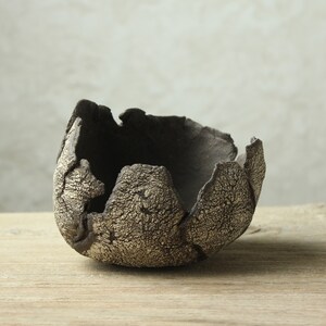 Special pot / accent pot / kusamono image 1