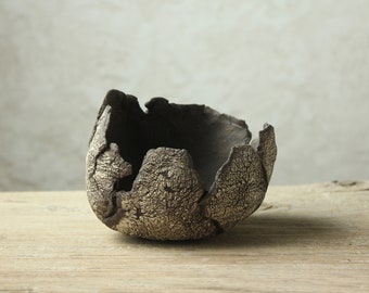 Special pot / accent pot / kusamono