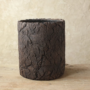 Può includere: Un vaso cilindrico in ceramica marrone scuro con una superficie strutturata simile alla corteccia. Il vaso ha un bordo ruvido ed è posto su una superficie di legno. Lo sfondo è un muro strutturato a tonalità neutre.