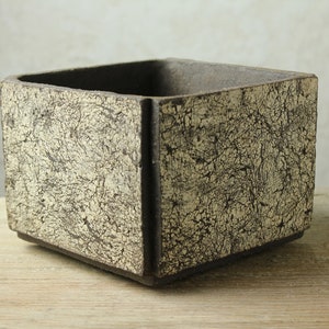 Puede incluir: Maceta cuadrada de cerámica con un esmalte craquelado blanco sobre una base marrón oscuro. La maceta está sobre una superficie de madera.