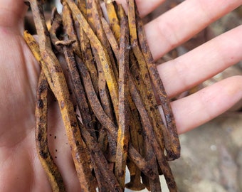 OLD RUSTY NAILS hand forged ,Set of 20 rusty nails from old  Polish house.  , ready to ship