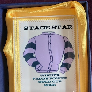 Caja de fotos de cristal para grupos de propietarios de estrellas del escenario Viene en caja de regalo Encargos también